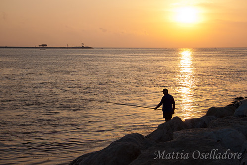 venice sea italy sun fish water silhouette sunrise dawn fisherman rocks dam adriatic sottomarina