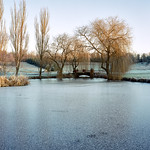 Windlesham-Arboretum-Winter-2-6x7