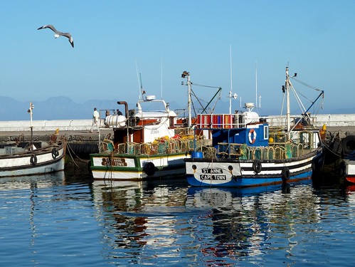 sea water colors southafrica meer seagull fishingboats farben kalkbay fischerboote möwe