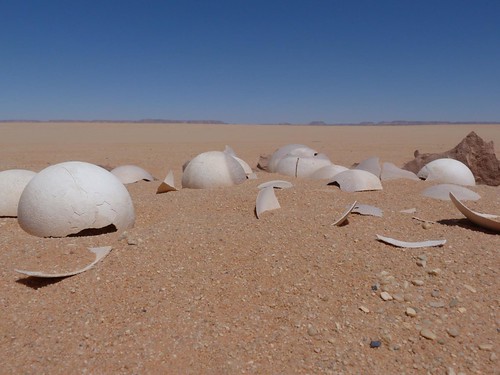 Huevos de avestruz en el desierto Líbico (Egipto)