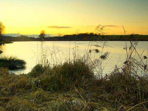winter sunset reed water geotagged coast pond lumen naturemasterclass geo:lat=50180743 geo:lon=14641671 tomasfotografcz