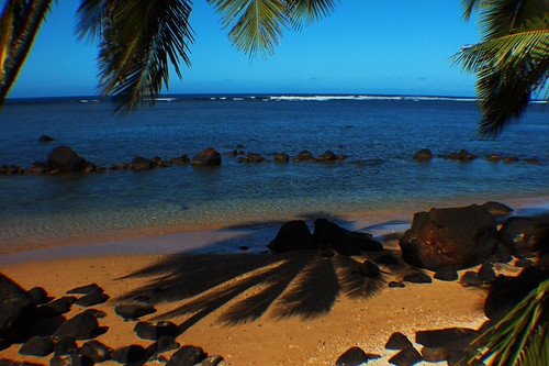 beach cg palm kauai northcoast