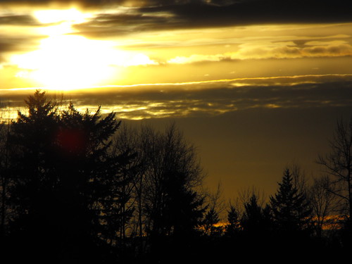 trees sunset clouds scenery langley fraservalleylowermainlandbcbritishcolumbia