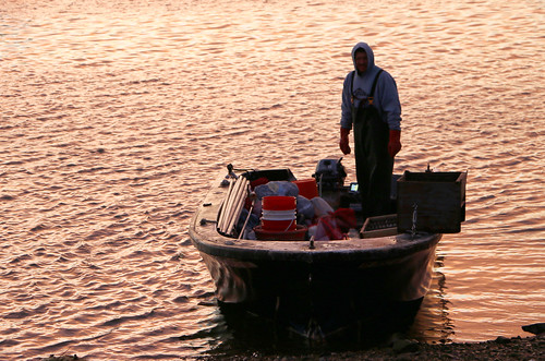 sunset people ny newyork boat suffolk huntington fishingboat coldspringharbor