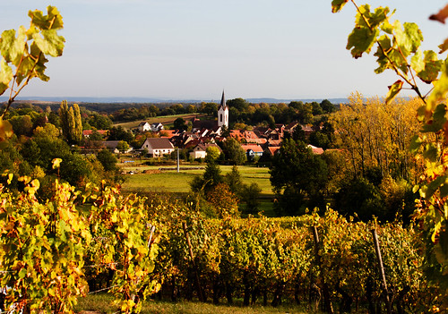 france winery vineyards alsace fra elsas hautrhin collinkey hartmanswiller
