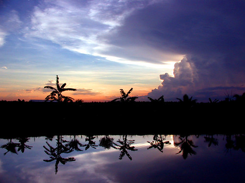 sunset sky lake tree thailand palm refelction totallythailand