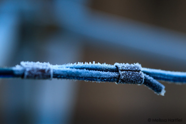Frosted Wire