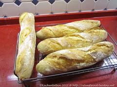 Französisches Brot, sechsmal gefaltet 006