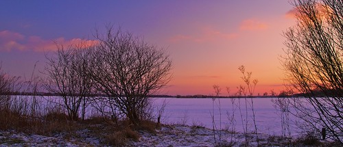 trees winter sunset sky snow ice zonsondergang bomen nikon sneeuw sigma lucht ijs rietplas d5000 blinkagain
