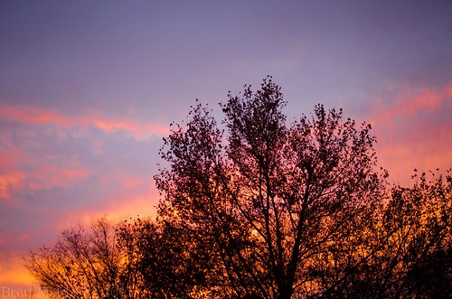 winter color tree clouds sunrise utah nikon saltlakecity