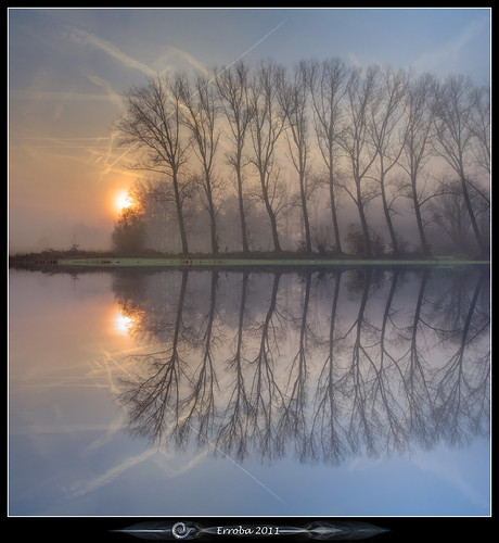 trees mist water fog sunrise canon reflections belgium belgique belgië symmetry erlend muizen 24105mm 60d erroba robaye masterclasselite