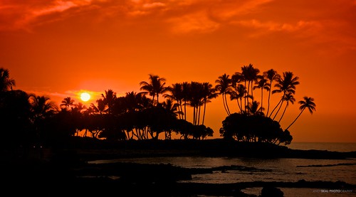travel sunset vacation silhouette hawaii nikon hawaiian bigisland d7000