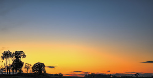 blue sunset orange sun tree field soleil nikon bleu 1855mm polarizer arbre hdr champ coucherdesoleil cpl polarisant polarizerfilter filtrepolarisant shoyun nikonafsdxnikkor1855mmf3556gvr d5100 cloudsstormssunsetssunrises