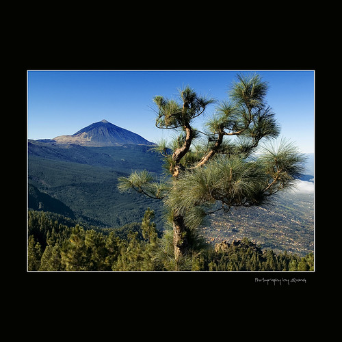 paisajes naturaleza nature geotagged landscapes spain natura canarias olympus tenerife gettyimages islascanarias paisatges elteide quimg quimgranell joaquimgranell gettyimagesiberiaq2