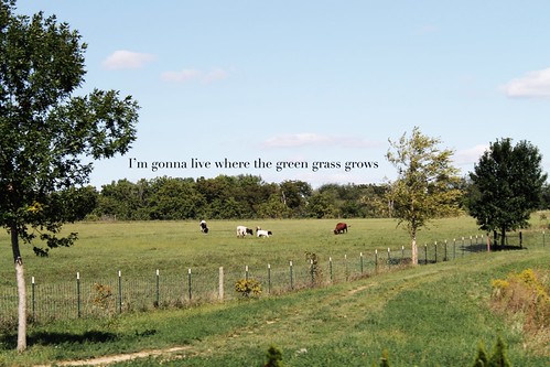 fence cows quote pasture