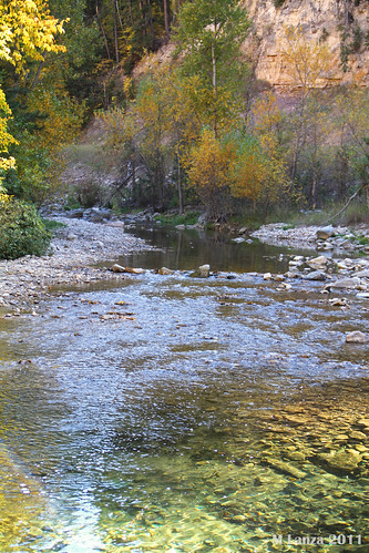 autumn west fall southdakota blackhills spearfishcanyon creek foliage us14 spearfishcanyonscenicbyway