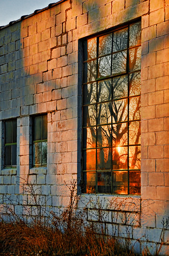 windows sunset sun reflection tree abandoned window weeds ruins decay bricks hdr day343 hdraddicted d7000 day343365 worldhdr 3652011 365the2011edition 1292011