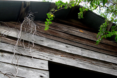 wood roof copyright childhood barn tin ar farm © grandfather september arkansas barkada allrightsreserved 2011 drewcounty unauthorizedusestrictlyprohibited allcommercialuseprohibited