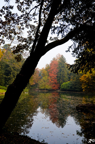autumn italy lake reflection water colors alberi wow lago photography photo nikon italia foto fotografia nikkor acqua autunno colori riflessi brig riki d5100 brigrc