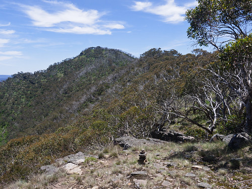 hiking australia victoria aus buggery mountbuller crosscutsaw
