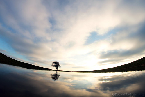 reflection tree pond justclouds cloudsfisheyewalkcountrysideskyditchlingbeacon