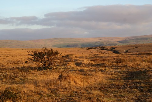 landscape dartmoor moorland petertavy