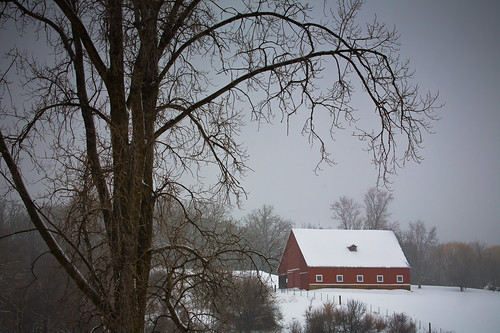 winter red portrait sky usa snow cold tree nature wisconsin barn rural landscape outdoors photography countryside photo december farm branches country picture american northamerica 2010 horsefarm horsebarn iowacounty dodgeville canoneos5d pleasantridge canonef100400mmf4556lisusm portalwisconsinorgselected lorenzemlicka portalwisconsinorg011912