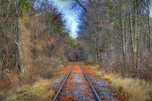 vienna wien road wood railroad leaves forest train austria österreich nikon laub gimp rail zug holz bahn wald gleise hdr schiene photomatix lobau d5100