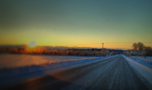 winter sky sun snow car forest sunrise highway roadtrip freeze gotland