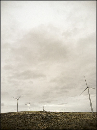 washington windmills