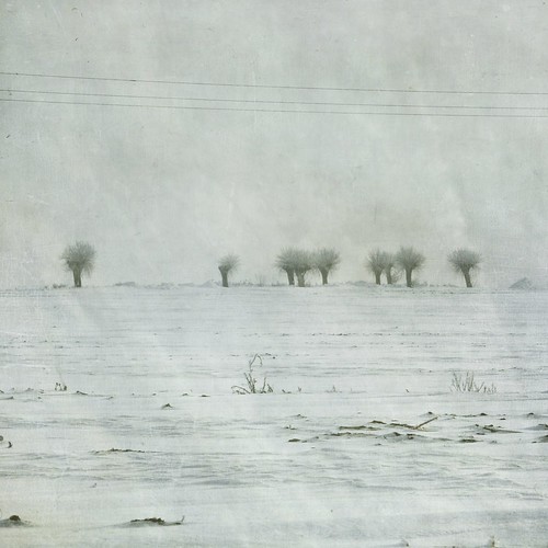 trees winter lake nature forest landscape countryside scenery horizon country visualpoetry greaterpoland dreamnature dreamyrhymnes