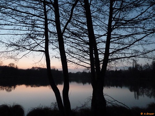 winter sunset shadow tree water landscape hiver ombre reflet campagne arbre coucherdesoleil étang eureetloir