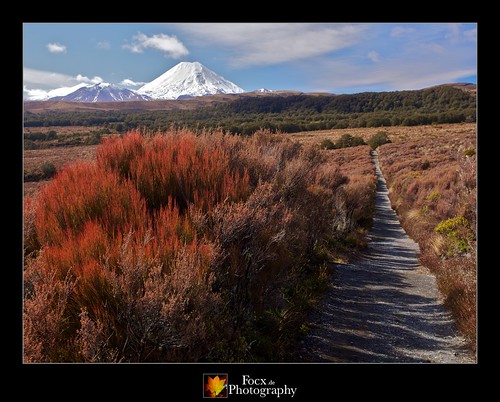 newzealand mountains landscape volcano hiking olympus tongarironationalpark e5 taranakifalls 1260mm