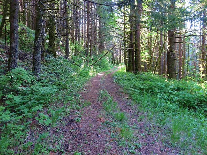 Augspurger Trail