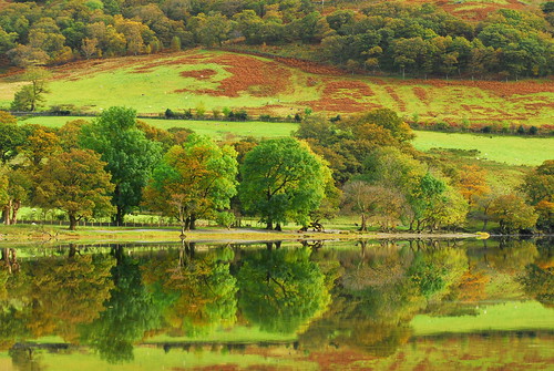 autumn trees lake reflections landscape nationalpark nikon view tripod lakedistrict d200 manfrotto buttermere britnatpark