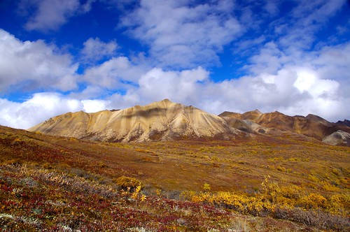 camping nature alaska landscape unitedstates backpacking northamerica denalinationalpark