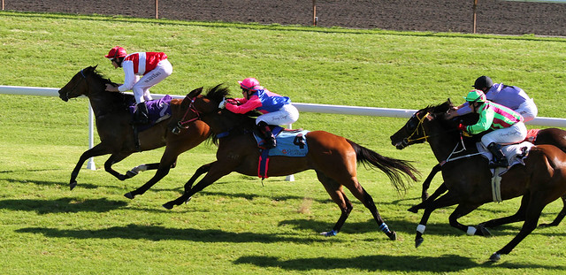 Around the turn in race 5.