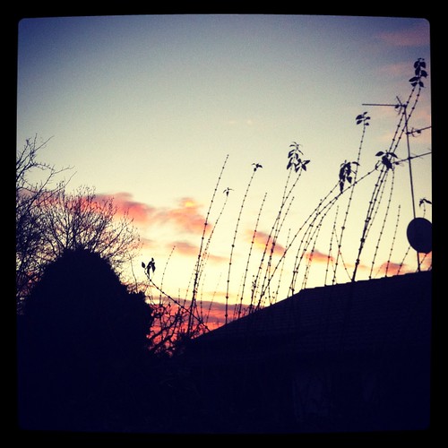 cold sunrise landscape photo alba freddo iphone froze segrate instagram