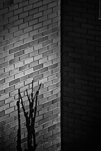 shadow brick wall sunrise