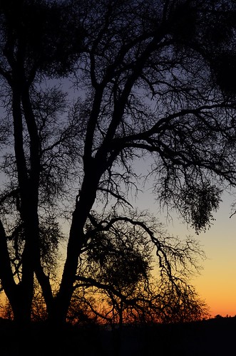 california sunset unitedstates auburn northamerica afnikkor50mmf18d