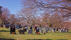 Section 7A, Arlington National Cemetery