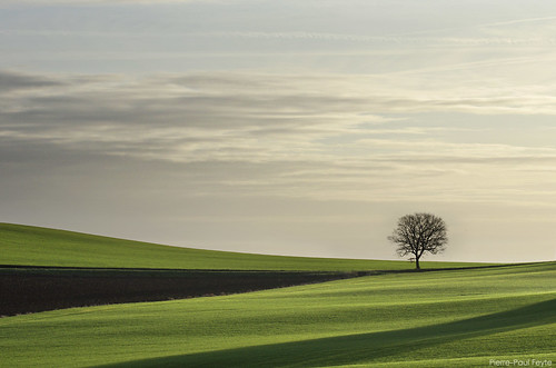 rural solitude champs ciel paysage campagne arbre gascony gascogne gers isolé remembrement