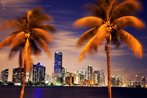 ocean water skyline evening downtown florida miami palm palmtree atlanticocean keybiscayne