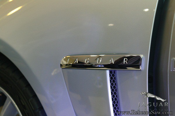 jaguar fx-029