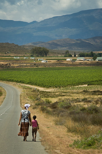road mountains green girl fruit lady walking southafrica vines women village mcgregor