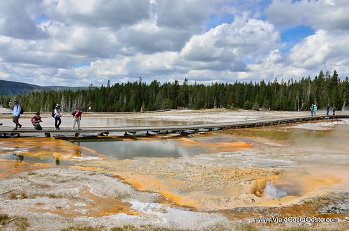 VIAJE COSTA OESTE EE.UU. - Blogs de USA - Yellowstone - Zona Sur (6)