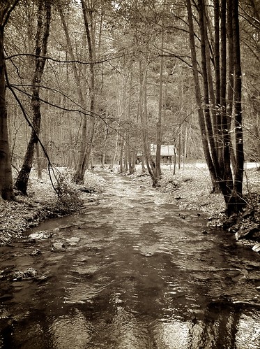 bw white black sepia forest stream czech cottage moravia