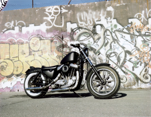 france film wall mediumformat polaroid graffiti 1988 goose harleydavidson 100views moto motorcycle instant fujifilm sportster perpignan ratbike moyenformat 127mm fp100c 1200cc polaroid600se