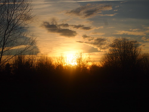 sunset sun lexington kentucky arboretum