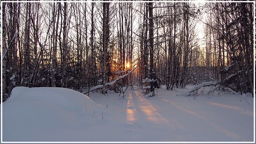winter nature landscape vinter sweden natur 1001nights boden landskap nature´sbest buttergarden